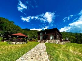 Pensiunea Roxana，位于Valea Vişeului的家庭/亲子酒店