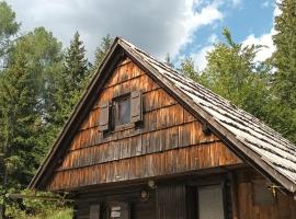 Planinska hišica pod macesni - Bohinj，位于Srednja Vas v Bohinju的乡村别墅