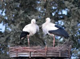 Ferienwohnung am Storchennest in Burkau