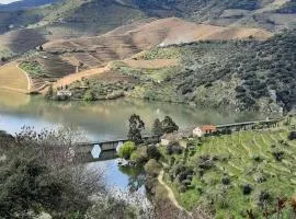 Quinta da Ferradosa Wines