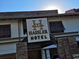 Hotel Hassler，位于亚松森西尔维奥·佩蒂罗西国际机场 - ASU附近的酒店
