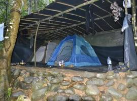 Bukit Lawang Glamping & Jungle Trekking，位于武吉拉旺的豪华帐篷