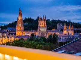 Catedral - Apartamentos Burgos Deluxe，位于布尔戈斯Burgos Museum附近的酒店