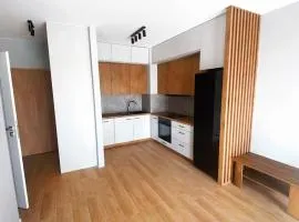Elegant 1-Bedroom Flat With Balcony Near Wrocław