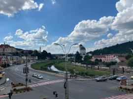 Panorama Studio Sighisoara，位于锡吉什瓦拉的酒店