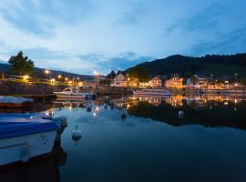 HOTEL de la Truite & SPA Le petit Nautilus，位于Le Pont的酒店