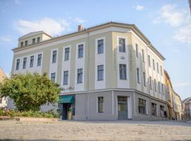 Stadthotel König Albert，位于齐陶的酒店