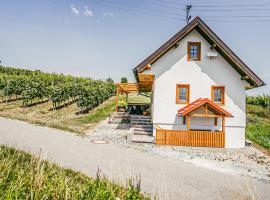 Ferienhaus Gaas Weinberg，位于Gaas的酒店