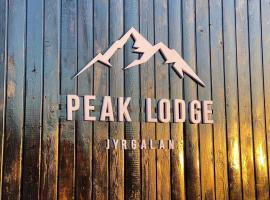 Peak Lodge Jyrgalan，位于Dzhergalan的山林小屋