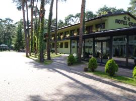 Hotel Graf，位于瓦斯克的酒店
