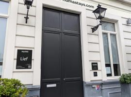numa l Lief，位于布鲁塞尔的酒店