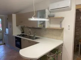 Oasi del patricano, Patrica