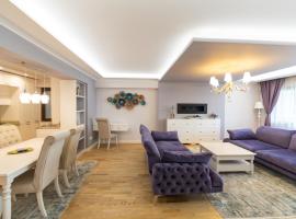 Saphir Stein Residence Apartment 19th，位于布加勒斯特Bucharest Botanical Garden附近的酒店
