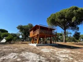 Suspended Wooden House - Monte da Cortiça