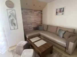 Apartman Zara Zlatar