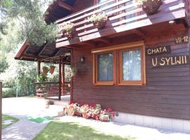 Chata u Sylwii，位于奥克宁卡的酒店