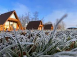 Casute in copac & Case A frame