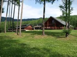 落叶松金山湖酒店