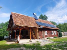 CABANA CASA LU'BACIU，位于Arpaşu de Sus的酒店