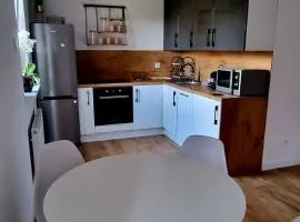 Apartament Sołtysia Góra