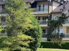 Les Mélèzes 1 Studio，位于巴斯洛内特的酒店