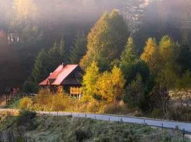 Krzywa 19