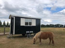 Boerderij de Flesse Wenum Wiesel Pipowagen Hanna，位于Oosterhof的豪华帐篷营地