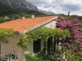 Apartments by the sea Zivogosce - Mala Duba, Makarska - 6887