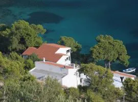 Apartments by the sea Pasadur, Lastovo - 8337