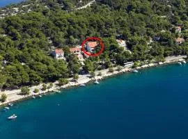 Apartments and rooms by the sea Mali Losinj (Losinj) - 10420