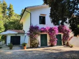 Casa i Forni a Porto Azzurro - Goelba