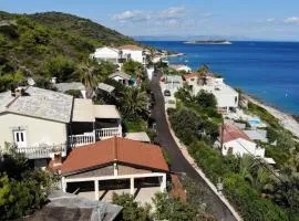 Apartments by the sea Milna, Vis - 8917