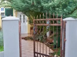 Apartments by the sea Novalja, Pag - 11512