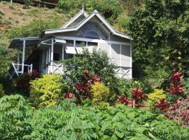 Gingerbread Cottage and Studio Fiji，位于萨武萨武的海滩短租房