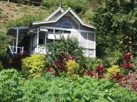 Gingerbread Cottage and Studio Fiji