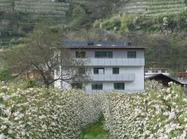 Waalhof Ferienwohnung Apfelblüte