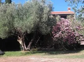 Apartments by the sea Cove Pogana, Cres - 14172