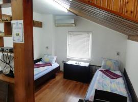Guest Room Asparuh，位于特罗扬的酒店