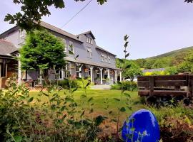 The Elan Valley Hotel，位于赖厄德的酒店