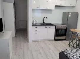 Kobierska 8 Mieszkanie 2