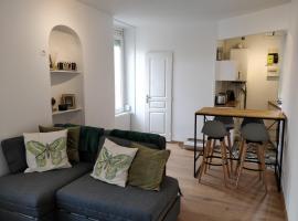 Cosy T2 31m2 - Centre-Ville Dijon - Gare et Darcy，位于第戎Drapeau Tramway Station附近的酒店