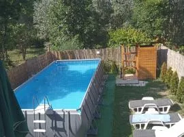 Vikendica apartments Dunav MS