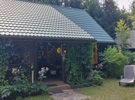 Domek całoroczny u Zosi，位于Ptaki的酒店