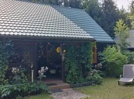 Domek całoroczny u Zosi