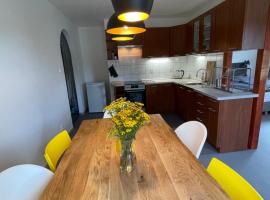 Apartmány U Medvěda，位于上布拉特纳的酒店