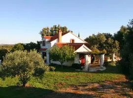 Family friendly house with a parking space Pucisca, Brac - 749