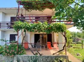 Apartments with parking space Silo, Krk - 18706