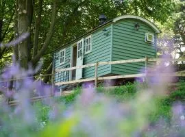 Lavender Retreat with Private Hot Tub