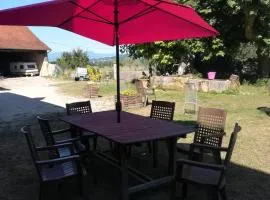 Ferme les poneys de la Durme