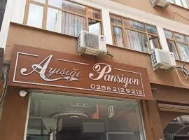 moonlight (AY IŞIĞI )